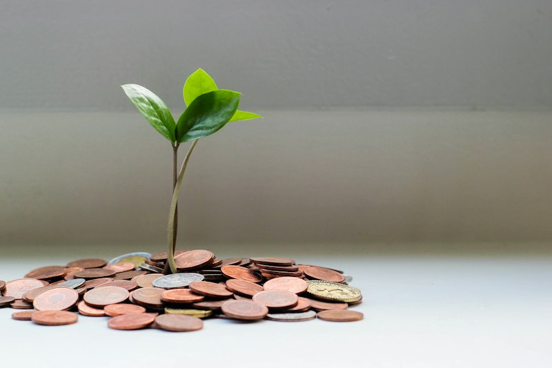 Strategi Monetisasi Website WAP: Hasilkan Pendapatan Nyata dari Konten dan Toko Digital
